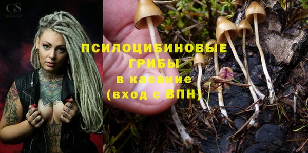 крисы Касимов