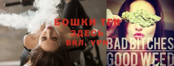 крисы Касимов