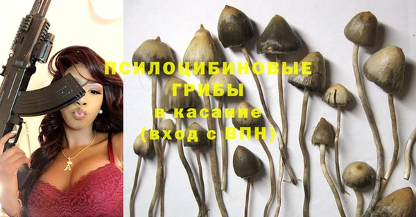 крисы Касимов