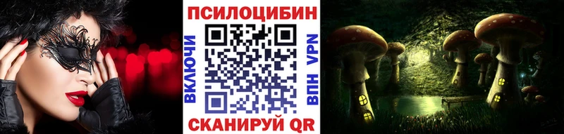 Купить  Борисоглебск  Псилоцибиновые грибы мицелий 